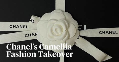 chanel white flower|chanel flower camellia.